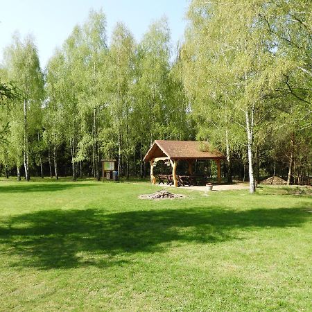 Vila Dom Nasutow Niemce Exteriér fotografie